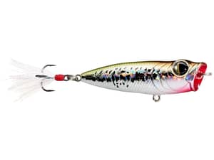 Owner Cultiva Gobo Popper