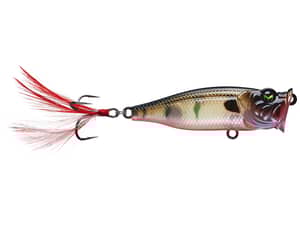 Mach Baits Sprayin Shad Popper