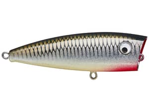 TW Chop Shop x Peyton Stumpf Lobina Ricos