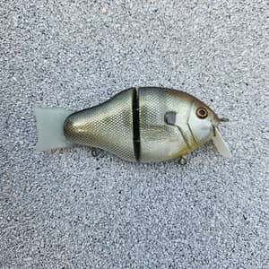 Rooftop Skinny Gill (Wake'n Bate) 