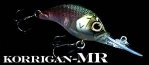 KORRIGAN MR