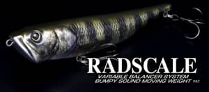 RADSCALE