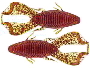 Jenko "The Bird" Creature Bait