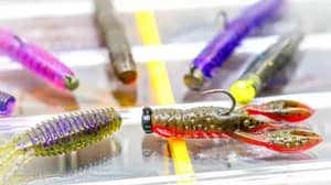 Best Ned Rig Baits