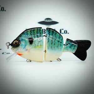 Reelest Imaging Pub Gill