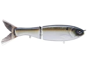 Clutch Swimbait Co. Darter Glide Bait