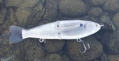 8" Kamikaze Shade Glide Bait