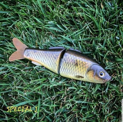 Pizz Swimbaits "Carp"