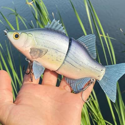 Marling White Bass Swimbait