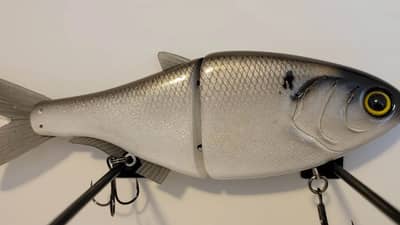 Guadalupe Glide
