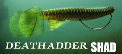  DEATHADDER SHAD