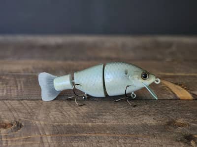 Mini Shore Banger (shad)