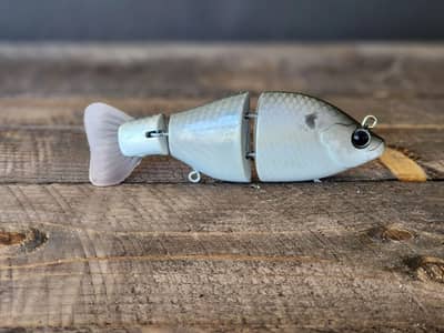 Full Sized Sonar (gloss shad)