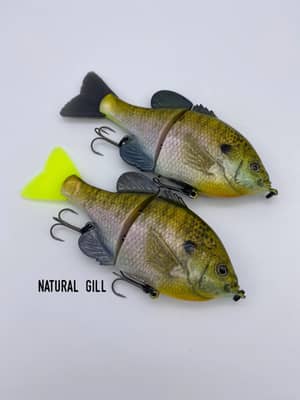 6.2" Replica Gill