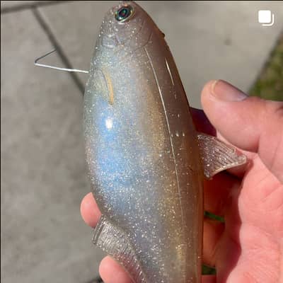 Jawjack Soft Swimbait