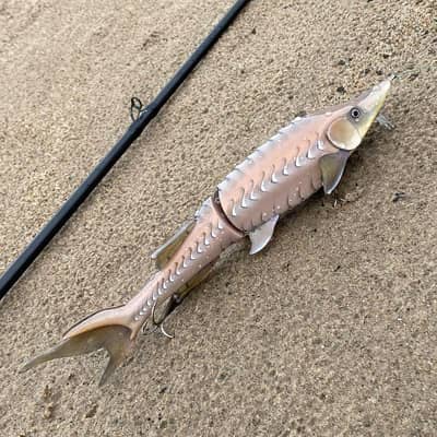 Marling Sturgeon Swimbait