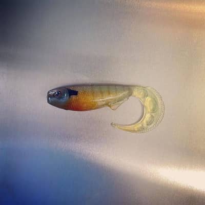 Bobby Baits