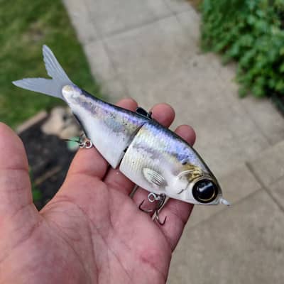 Trashy 6" Threadfin Glide 