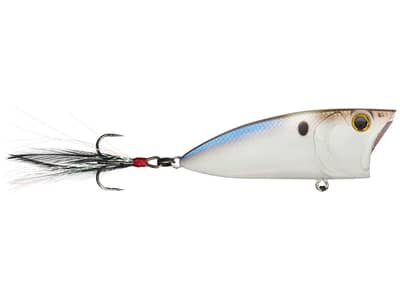 6th Sense Splash Back Topwater Popper