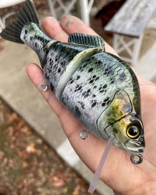 Baitsanity Velcro Bait-Wrap for Big Swimbaits 