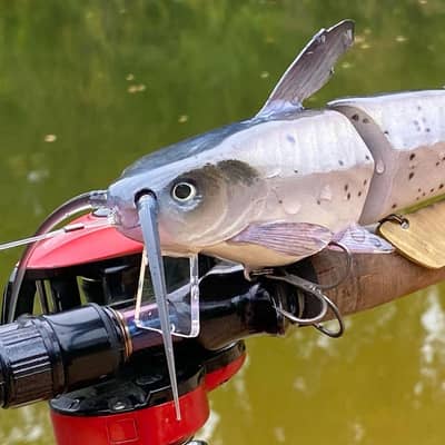 Marling Catfish Lure