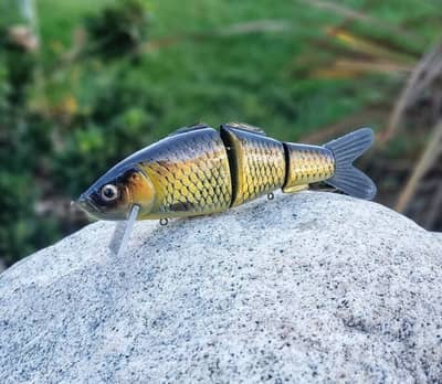 Pizz Swimbait "Baby Carp"