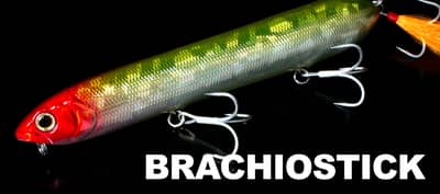  BRACHIOSTICK-deps