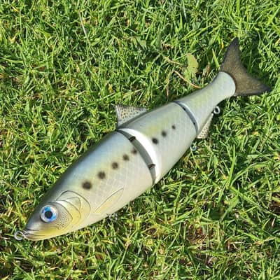 Kanga 10 Inch Herring