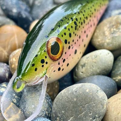 Justin Hajek "Rainbow Trout"