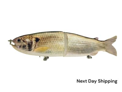 9" The Follow Gizzard Shad Cali Glide Swimbait