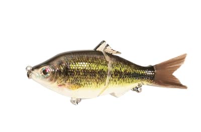 6" The Trick Bass Cali Glide Swimbait