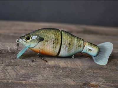 Shore Banger (HD Gill)