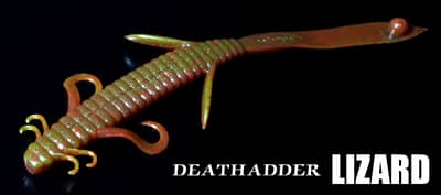 DEATHADDER LIZARD