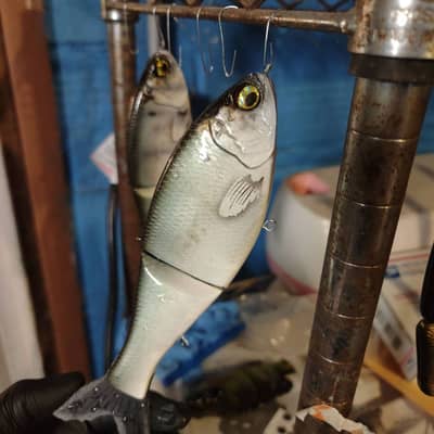 Trashy 8.25" Shad Glide