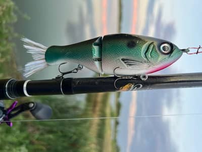 Buster Swimbait