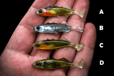 NEW MICRO STICKLEBACK 4,5cm | 1.6"