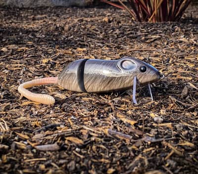 Pizz Swimbaits "Rat"