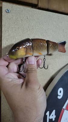 Carp Swimbait