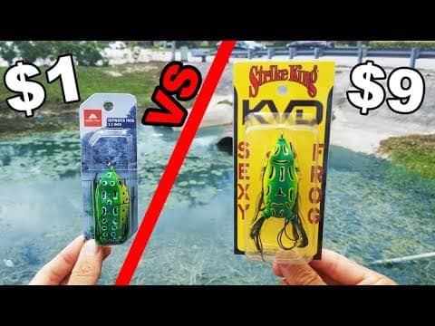 Cheap Frog vs. Expensive Frog -- Fishing Challenge