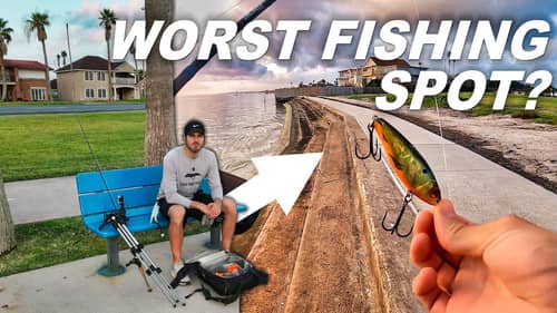 trying to catch fish at the worst fishing spot - fish here??