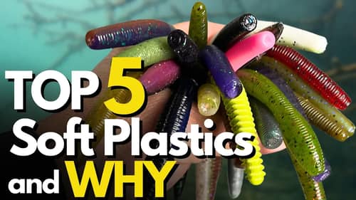 Top 5 Soft Plastic Lures Every Angler Should Own - And WHY