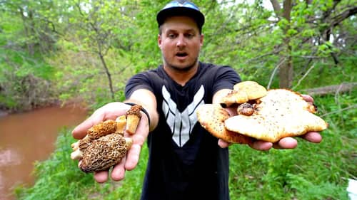 SAFE TO EAT?? Catch n' Cook WILD MUSHROOMS from the Forest!!!