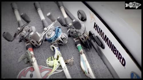 Quick Tip to Find the Right Fishing Rod for the Situation