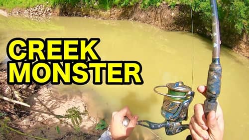 70 LB MONSTER in a TINY CREEK!!