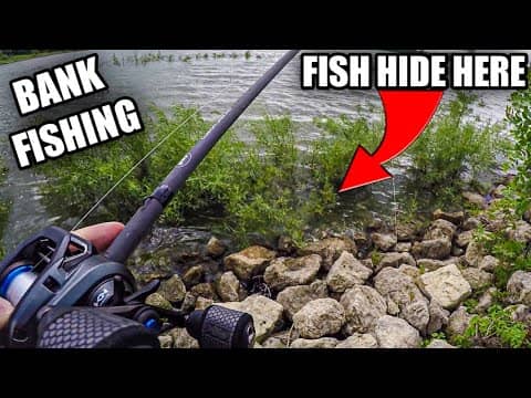 Bank Fishing for Bass with Limited Time (Beginner Tips to Find Bass)