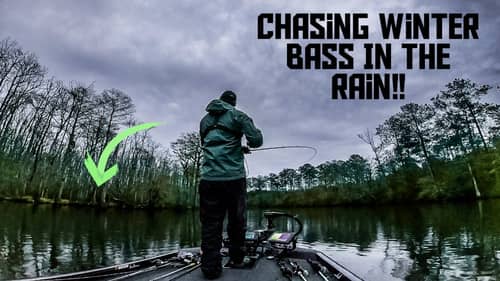 Chasing LATE WINTER Bass in the Pouring Rain!! || Winter Bass Fishing