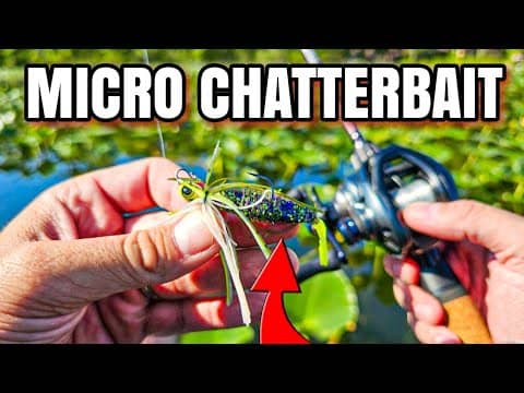 Micro Chatterbait CRUSHED Shallow Water Bass!