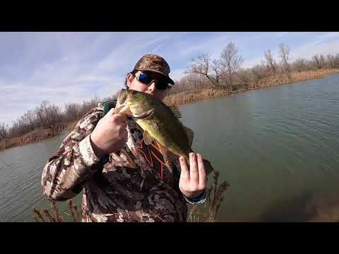 Late Winter Bass Fishing for Hungry Pre-Spawn Fish!