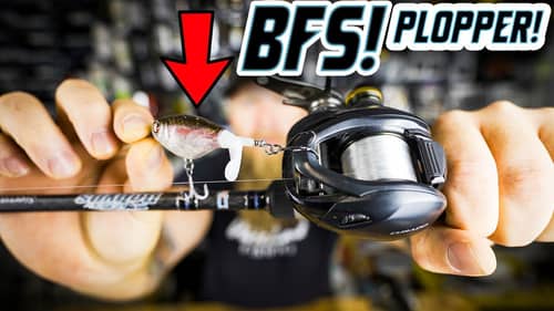 5 Fish Makes A Video Everyone Knows The Rules! BFS Whopper Plopper!