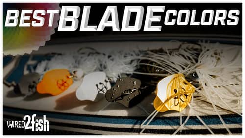 Choosing the Right Blade Color with Mark Davis